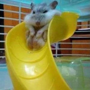 Meet your Posher, Christopher